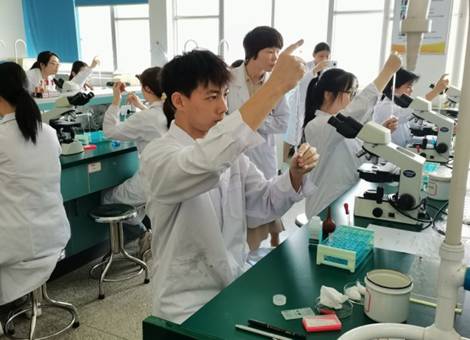 香港大红鹰论坛网