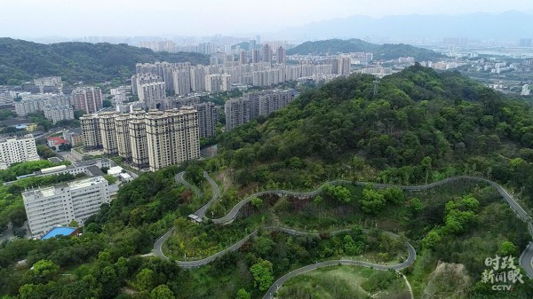 香港大红鹰论坛网