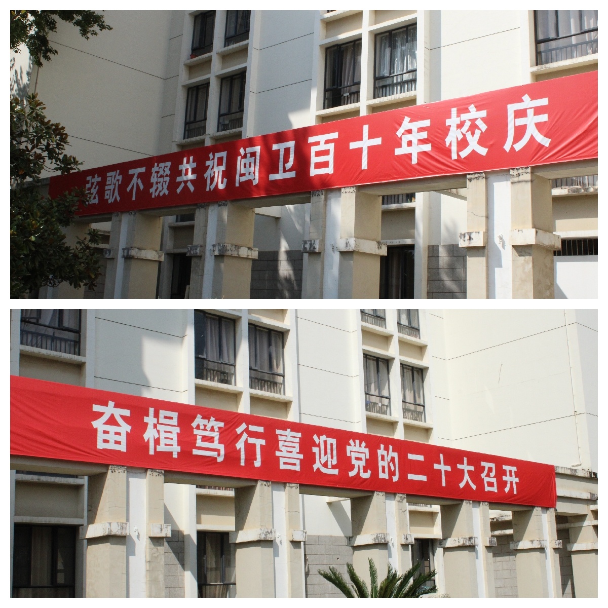 香港大红鹰论坛网