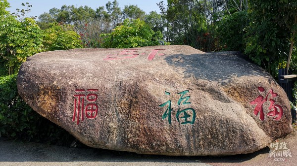 香港大红鹰论坛网
