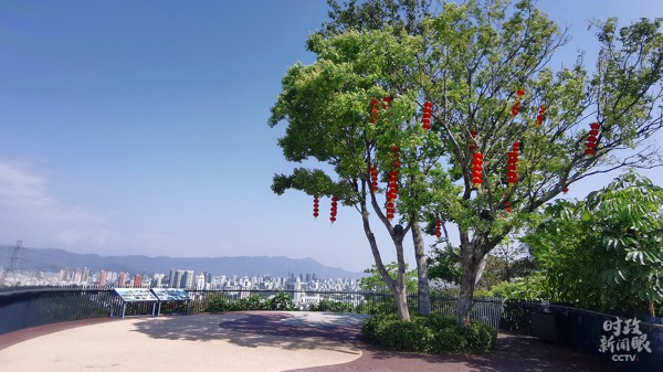 香港大红鹰论坛网